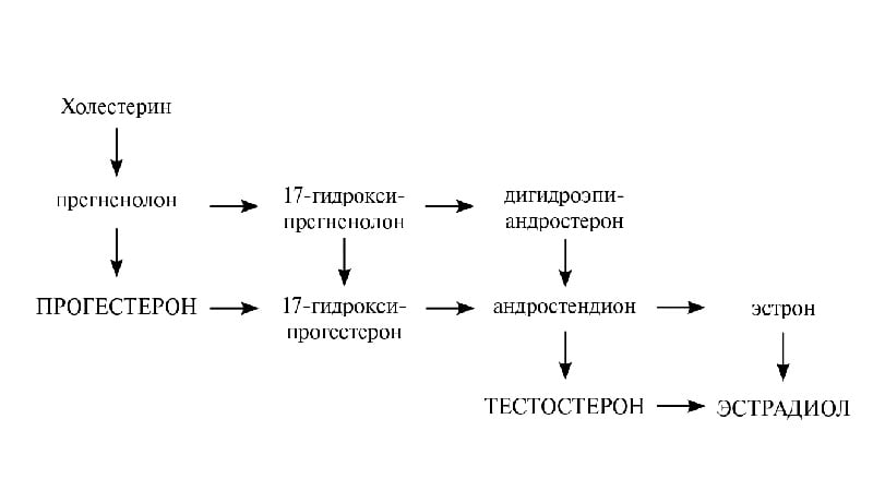 Фото №1