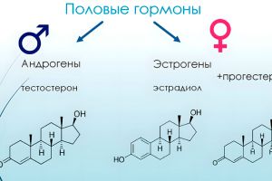 Роль эстрадиола у мужчин