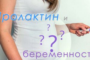 Роль пролактина в течении беременности