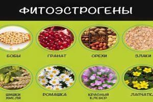 Фитоэстрогены - растительная альтернатива гормонам для женщин в период климакса