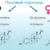 Женские гормоны у мужчины