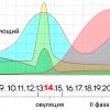 Норма женских гормонов - таблица по фазе цикла и возрасту
